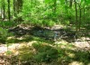 5-18-07 This mess was once a nice little pond