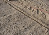 6-11-07 One line in the sand