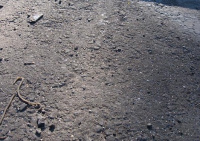 4-21-07 Metal flakes all over the road