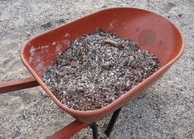 6-11-07 Beach Garbage