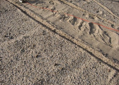6-11-07 One line in the sand