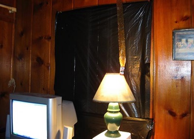 7-11-07 Infestation pic 2